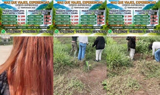 pudellatours.oxapampa's Live Session — Sep 17, 2026, 3:11 PM
