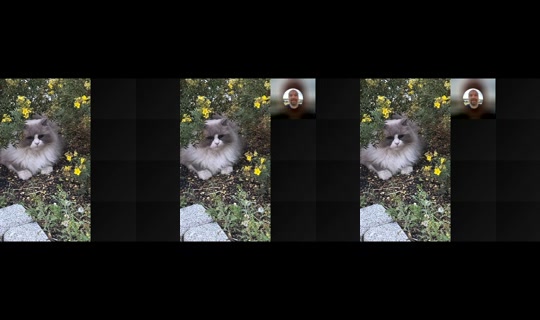 pus_med_stovler's Live Session — Aug 30, 2026, 11:46 PM