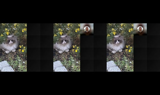 pus_med_stovler's Live Session — Sep 12, 2026, 10:58 PM