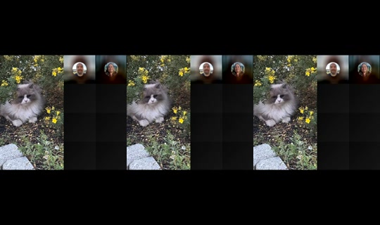 pus_med_stovler's Live Session — Sep 12, 2026, 11:48 PM