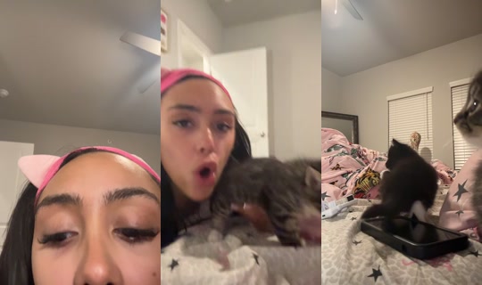raxksdolled's Live Session — Jul 28, 2026, 10:20 AM