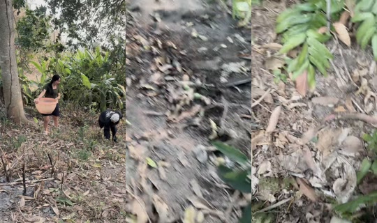 rbribetbanget's Live Session — Oct 23, 2026, 9:51 AM