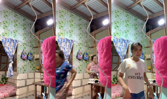 rica57708's Live Session — Oct 12, 2026, 9:39 AM