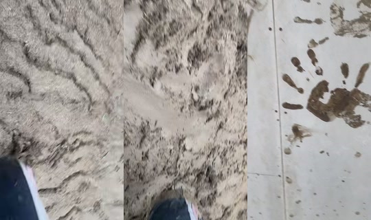 rocio.mesias19's Live Session — Jul 22, 2026, 7:08 PM