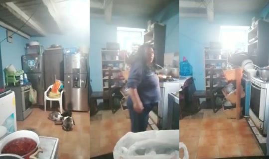 rosa.cruz942's Live Session — Oct 21, 2026, 11:06 AM
