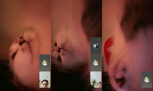 rrriilleeyyy1's Live Session — Oct 14, 2026, 12:04 AM