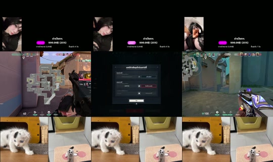 ruchira678's Live Session — Jul 24, 2026, 5:43 AM