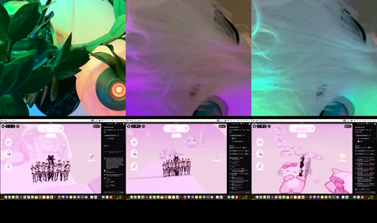 sasha.arias333's Live Session — Jul 31, 2026, 5:40 AM