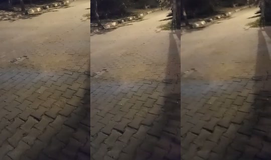 serce295's Live Session — Jul 31, 2026, 9:46 PM