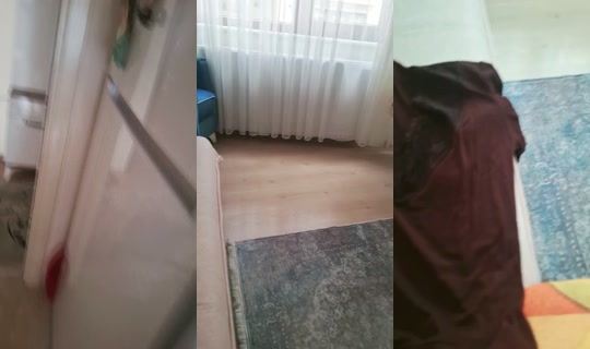 sevgiarabeks's Live Session — Jul 9, 2026, 11:54 AM