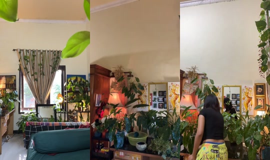 shania_chorthezt's Live Session — Oct 14, 2026, 9:23 AM