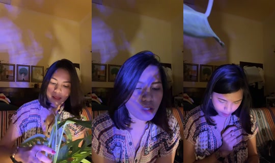 shania_chorthezt's Live Session — Oct 18, 2026, 2:13 PM