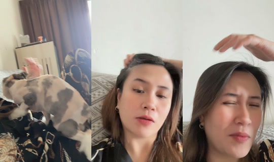 sheiseka's Live Session — Sep 1, 2026, 3:53 AM