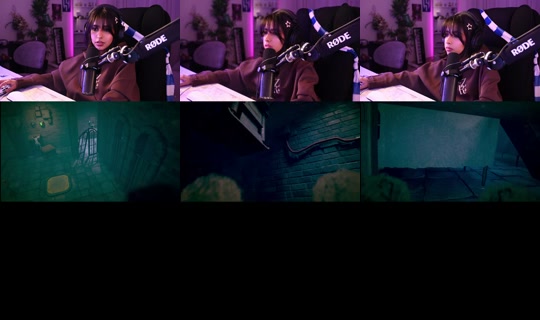 shneeni6's Live Session — Oct 27, 2026, 9:54 PM