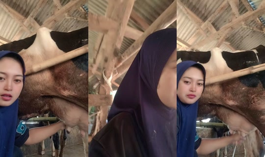 sitikomala_25's Live Session — Jul 26, 2026, 1:02 AM