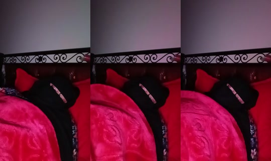soltananoure's Live Session — Oct 28, 2026, 5:50 AM