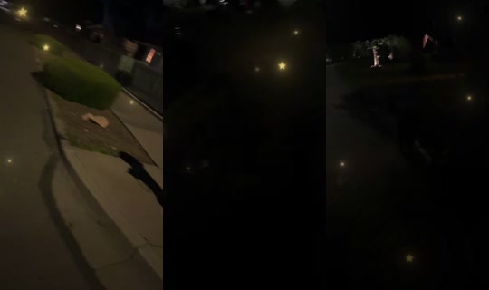 somorrowrocks's Live Session — Sep 25, 2026, 3:55 AM