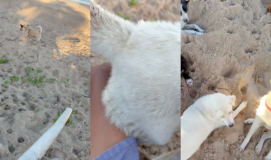streetdogsch's Live Session — Jul 23, 2026, 11:36 PM