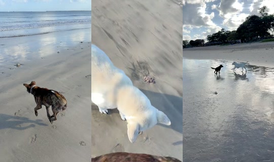 streetdogsch's Live Session — Jul 24, 2026, 12:27 AM