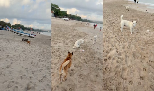 streetdogsch's Live Session — Jul 24, 2026, 11:27 PM