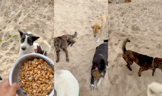 streetdogsch's Live Session — Jul 25, 2026, 12:25 AM