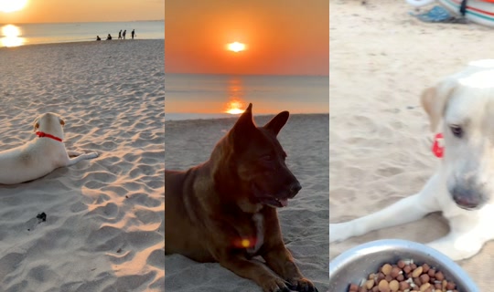 streetdogsch's Live Session — Jul 25, 2026, 9:54 AM