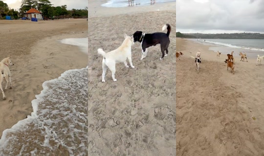 streetdogsch's Live Session — Jul 25, 2026, 11:40 PM