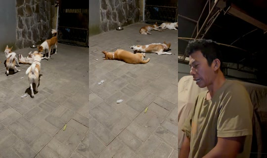 streetdogsch's Live Session — Jul 26, 2026, 11:22 AM