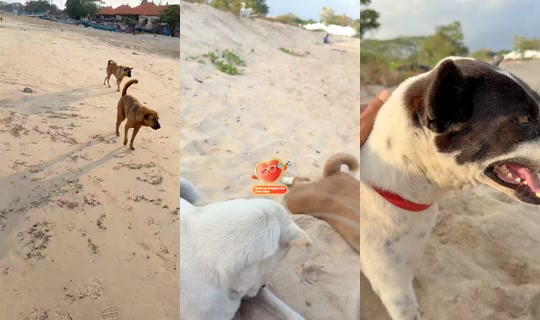 streetdogsch's Live Session — Jul 31, 2026, 11:36 PM