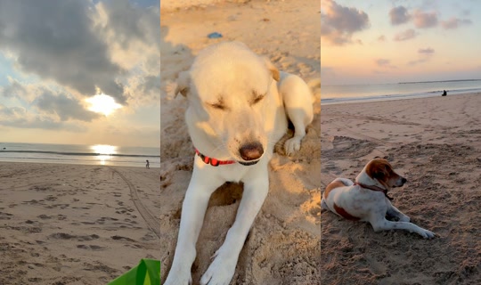streetdogsch's Live Session — Aug 14, 2026, 9:28 AM