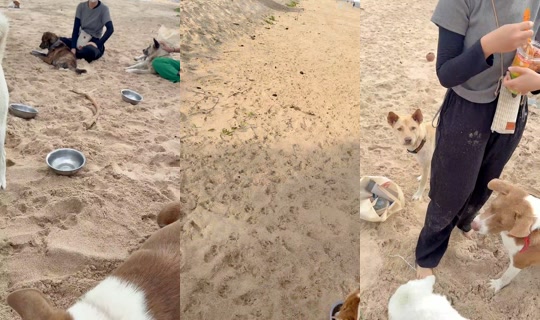 streetdogsch's Live Session — Aug 15, 2026, 12:30 AM
