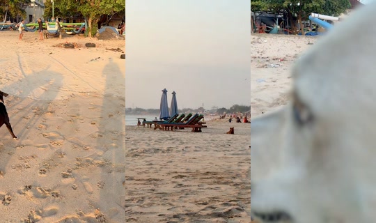 streetdogsch's Live Session — Aug 19, 2026, 9:44 AM
