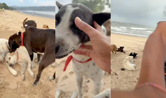 streetdogsch's Live Session — Aug 19, 2026, 11:53 PM