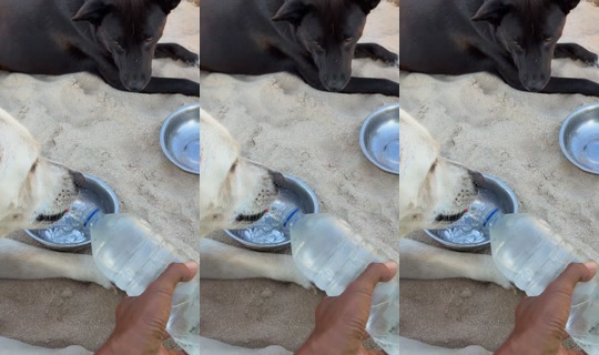 streetdogsch's Live Session — Sep 5, 2026, 9:23 AM