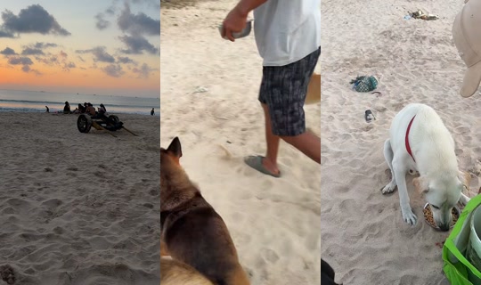 streetdogsch's Live Session — Sep 5, 2026, 10:13 AM
