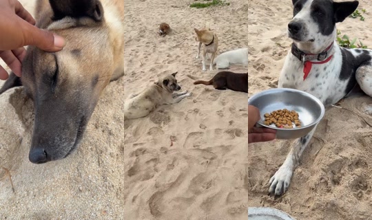 streetdogsch's Live Session — Sep 5, 2026, 11:44 PM
