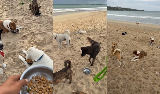 streetdogsch's Live Session — Sep 6, 2026, 11:54 PM
