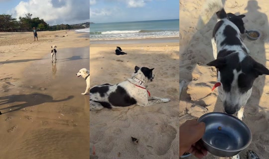 streetdogsch's Live Session — Sep 7, 2026, 11:59 PM
