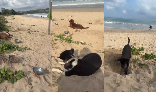 streetdogsch's Live Session — Sep 8, 2026, 12:50 AM