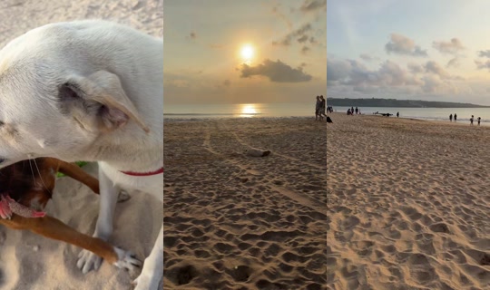 streetdogsch's Live Session — Sep 8, 2026, 9:12 AM