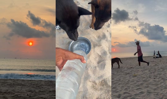 streetdogsch's Live Session — Sep 8, 2026, 10:03 AM