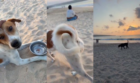 streetdogsch's Live Session — Oct 20, 2026, 9:44 AM