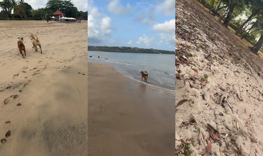 streetdogsch's Live Session — Oct 23, 2026, 11:33 PM