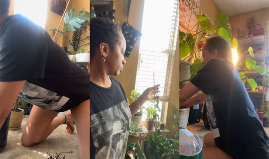 style_tiadanielle's Live Session — Sep 6, 2026, 4:23 PM