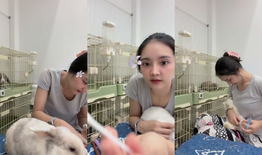 sugarrbunny_family's Live Session — Jul 25, 2026, 6:14 AM