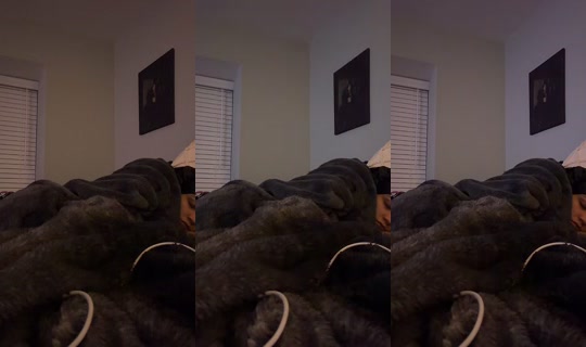 swaygotbandz's Live Session — Sep 13, 2026, 5:58 AM