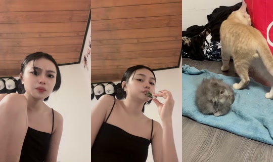 synnehrivera's Live Session — Jul 24, 2026, 3:38 PM