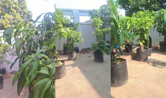 tabulampotbrebes's Live Session — Oct 15, 2026, 12:54 AM