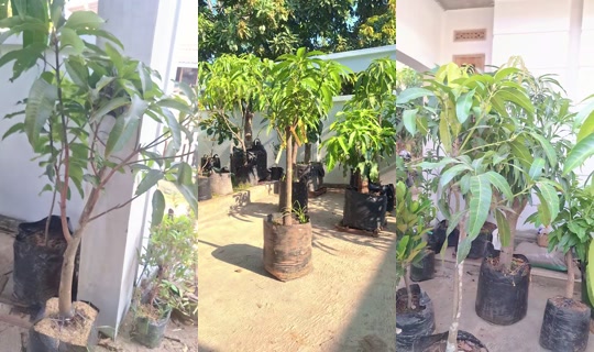 tabulampotbrebes's Live Session — Oct 20, 2026, 12:25 AM