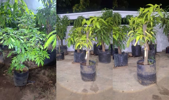 tabulampotbrebes's Live Session — Oct 20, 2026, 12:40 PM